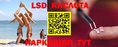 прущие грибы Тула