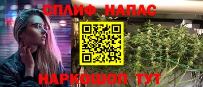 прущие грибы Тула