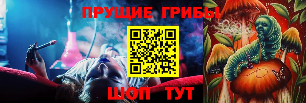 Галлюциногенные грибы GOLDEN TEACHER Новосибирск