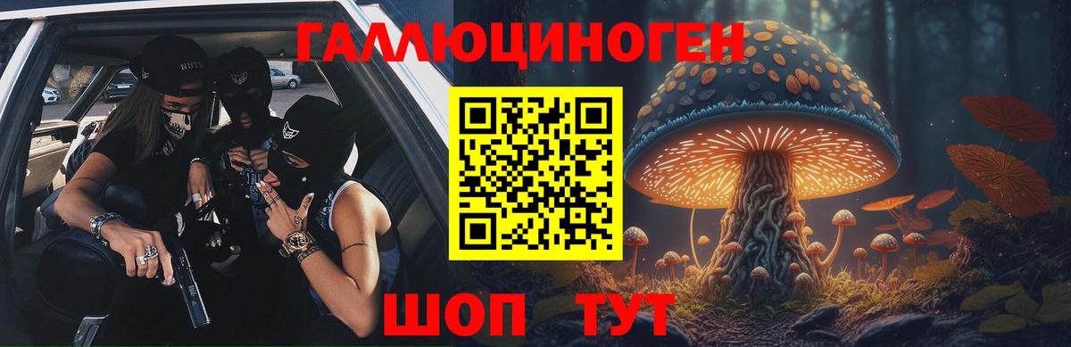 Новосибирск  Псилоцибиновые грибы GOLDEN TEACHER  Вход с VPN 